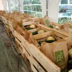 Distribution AMAP de Chécy
