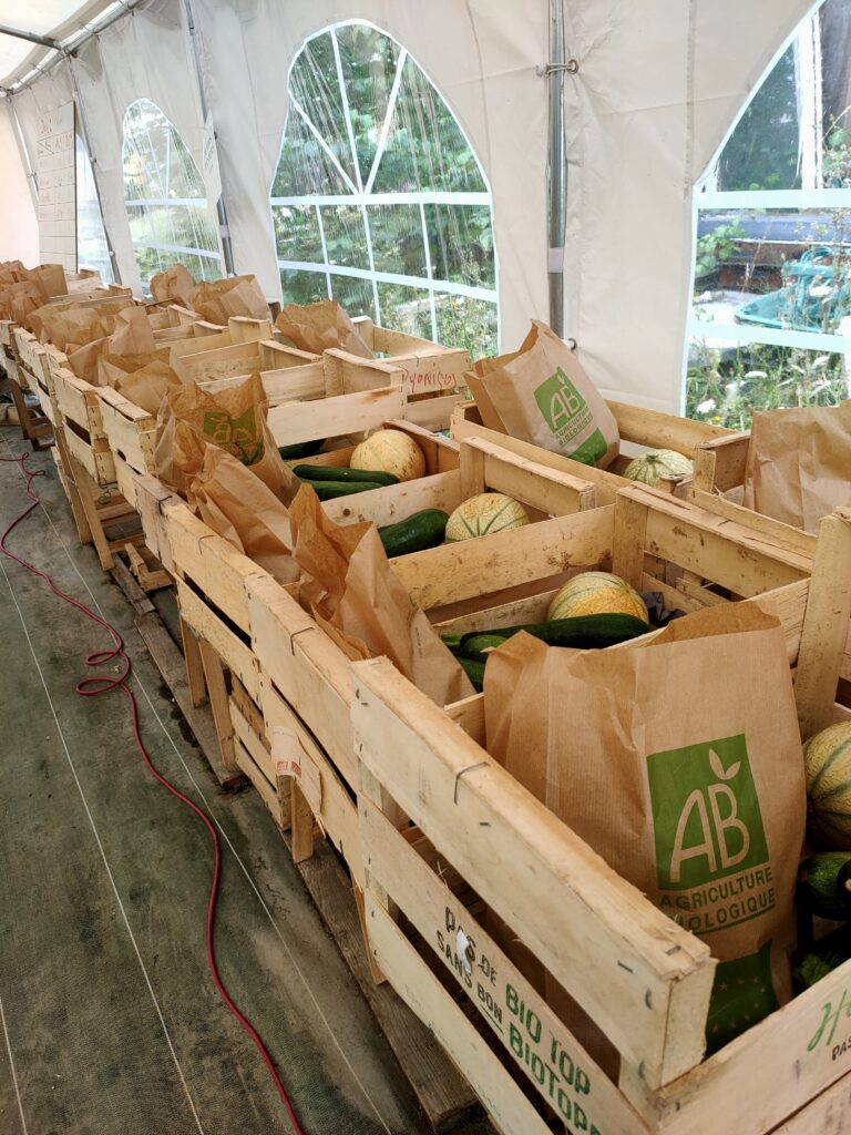 Distribution AMAP de Chécy